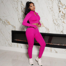 Long Sleeve 2 Two Piece Pant Set Causal Sporty For Women 2023 Street Zip Fly Cropped High Waist Booty Pants Suits