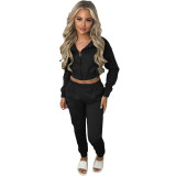 2023 Fleece Cropped Zip Up Hooded Tracksuit Pant Set