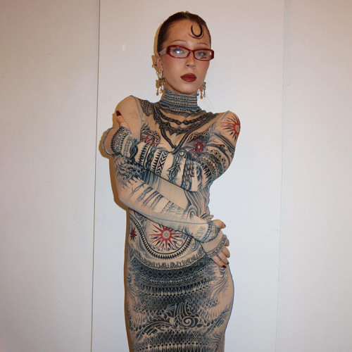 Sexy Long Sleeve Mesh Printed High-waisted Midi Dress