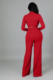 Casual Thicken 2 Piece Outfits Long Sleeve Pit Crop Top Wide Leg Pants Set