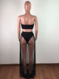 Summer Crop Tube Top And Pleated Sheer Mesh Long Skirt Set