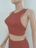 Casual Solid Basic O Neck Sleeveless Pit Two Pieces