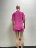 Women's Big Elastic Twisted Stripe Shirt Collar Casual Outfit Set