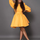 Fashion Bubble Sleeve Waist Up Dress