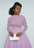 Elegant Lace Paneled A-line Swing Dress