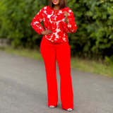 Women Floral Print Long Sleeve Tie Top and Wide Leg Long Pants Sets