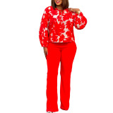 Women Floral Print Long Sleeve Tie Top and Wide Leg Long Pants Sets