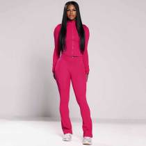 Casual Tight Long Sleeve Zipper High Neck Flared Two Piece