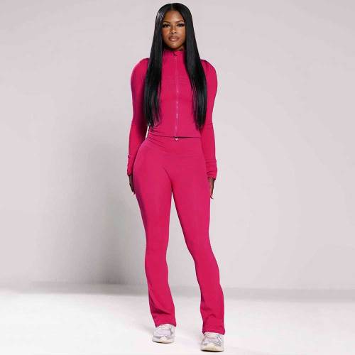 Casual Tight Long Sleeve Zipper High Neck Flared Two Piece