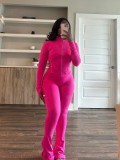 Casual Tight Long Sleeve Zipper High Neck Flared Two Piece