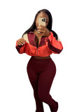 Colorblock Long Sleeve Zip Crop Jacket & High Waist Skinny Pants