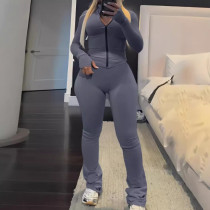 Fashion Plain Standing Collar Long Sleeve Zipper Design Top And Pants Set