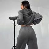 Women's Velvet 2-Piece Hoodie Set Zipper Pocket Sweatshirt Wide Leg Pants Tracksuit Set