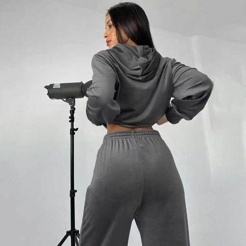 Women's Velvet 2-Piece Hoodie Set Zipper Pocket Sweatshirt Wide Leg Pants Tracksuit Set