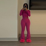 Solid Women's Clothing High Elastic Zipper Two Piece
