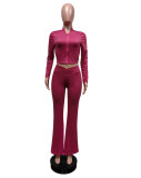 Solid Women's Clothing High Elastic Zipper Two Piece