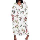 1 Piece Custom Casual Print V Neck Long Sleeve Plus Size Maxi Dress