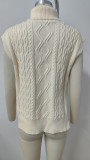 Short Sleeve Knit Side Slit Turtleneck Sweater Vest
