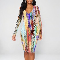1 Custom Casual Printed Long Sleeve V Neck Midi Dress