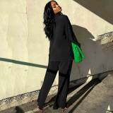 Pleated 2 Piece Outfits Fall Button Down Shirt and Wide Leg Palazzo Pants