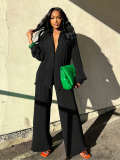 Pleated 2 Piece Outfits Fall Button Down Shirt and Wide Leg Palazzo Pants