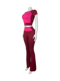 Women Tracksuit Two Piece Outfits Zipper Cropped Top Leggings 2 Piece Sets