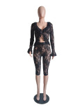 Spring Solid Color Hollow Lace Long Sleeve Two-piece Set