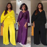 Fashion V-neck Bat Sleeve Shirt High Waist Pleated Two-piece Pant Set