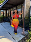 Sexy Casual Gradient Print Backless Halter Sleeveless Two Pieces