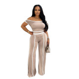 Solid Color Sleeveless Crop Top Wide-leg Pants Two-piece Set