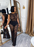 Solid Elegant See-through Lace Elastic Two-piece Sleeveless Set