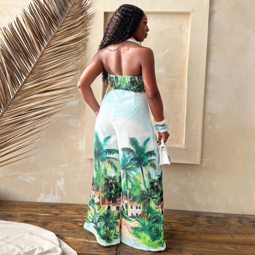 Women Printed Lapel Sleeveless Crop Top Wide Leg Pants Two-Piece Set