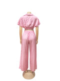 Summer Collar Cutie Lapel Cropped Top High Waist Wide Leg Pants Set