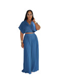 Summer Collar Cutie Lapel Cropped Top High Waist Wide Leg Pants Set