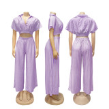 Summer Collar Cutie Lapel Cropped Top High Waist Wide Leg Pants Set