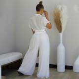 Summer Collar Cutie Lapel Cropped Top High Waist Wide Leg Pants Set