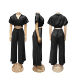 Summer Collar Cutie Lapel Cropped Top High Waist Wide Leg Pants Set