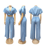 Summer Collar Cutie Lapel Cropped Top High Waist Wide Leg Pants Set