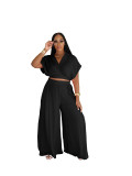 Summer Collar Cutie Lapel Cropped Top High Waist Wide Leg Pants Set