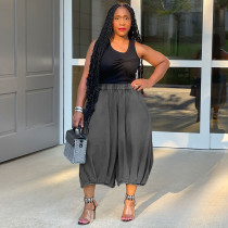 Women's Elastic Waist Wide Leg Capris Jeans Y2K Loose Pleated Denim Pants