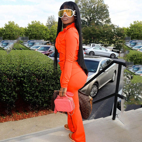 Casual Sportswear Solid Color Long Sleeve Zipper Two Piece