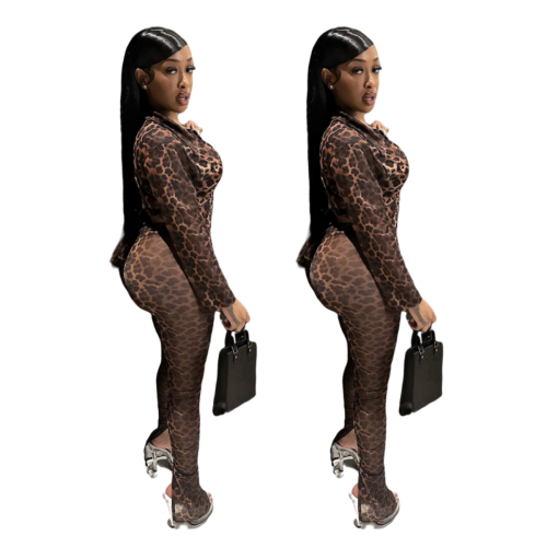 Leopard print mesh high elasticity lace up slit set