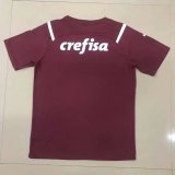 Mens Palmeiras Goalkeeper Jersey Red 2021/22