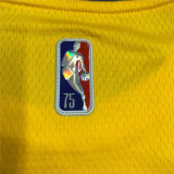 Mens Los Angeles Lakers Master Chief 117 Nike 2022 Swingman Jersey - City Edition
