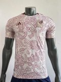 Mens Mexico Away Authentic Match Jersey FIFA World Cup Qatar 2022 - Match