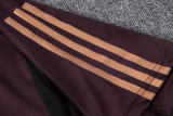 Mens Germany Pre-Match Top Short Training Jersey Brown 2023