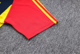 Mens Spain Pre-Match Top Short Training Jersey Royal 2023