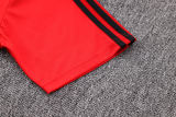 Mens Flamengo Polo Shirt Red 2023/24