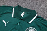 Mens Palmeiras Polo Shirt Green 2023/24