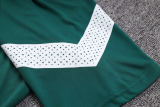 Mens Palmeiras Polo Shirt Green 2023/24